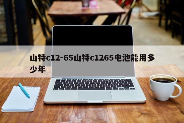 山特c12-65山特c1265电池能用多少年