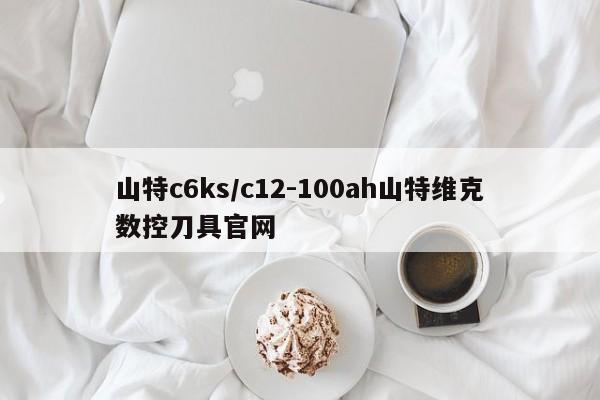 山特c6ks/c12-100ah山特维克数控刀具官网