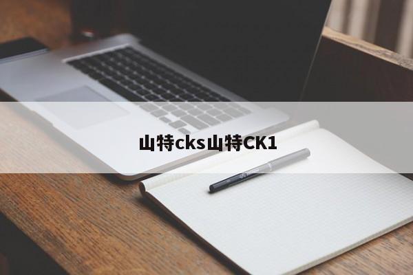 山特cks山特CK1