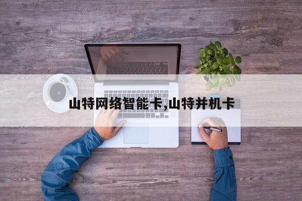 山特网络智能卡,山特并机卡