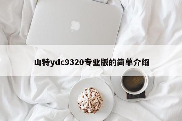 山特ydc9320专业版的简单介绍