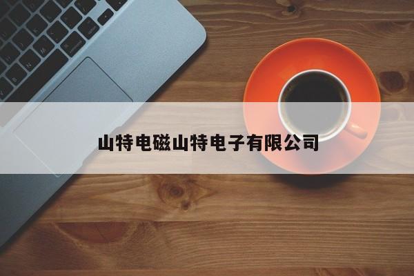 山特电磁山特电子有限公司