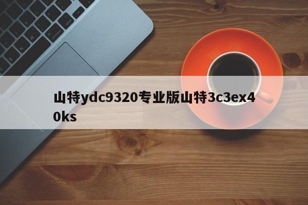 山特ydc9320专业版山特3c3ex40ks