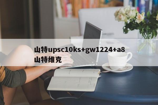 山特upsc10ks+gw1224+a8山特维克